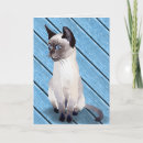 Pesquisar por siamese kitten cartoes Birthday