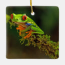 Pesquisar por olhos vermelhos ornamentos Sapo