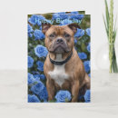 Pesquisar por staffordshire bull terrier cartoes Animal