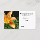 Pesquisar por arranjos flor de cartao de visita Floral