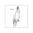 Pesquisar por papagaio artesanato material Pássaro