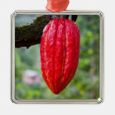 Pesquisar por cacau ornamentos Vermelho