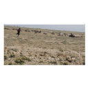 Pesquisar por serengeti pôsteres pósteres Natureza