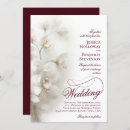 Pesquisar por orquídeas 13 18 casamento convites Convidados