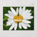 Pesquisar por dia de são valentim cartoes postais Natureza