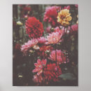 Pesquisar por foto da flor pôsteres pósteres Flores