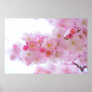 Pesquisar por flor de cerejeira japonesa pôsteres pósteres Qualquer pessoa