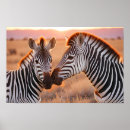 Pesquisar por savana fotografia Natureza