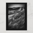 Pesquisar por surrealistas cartoes postais Qualquer pessoa