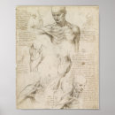 Pesquisar por anatomia de da vinci Ombro