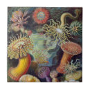 Pesquisar por nerd azulejos Retrô