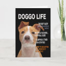 Pesquisar por cartão do pitbull cartoes Cães