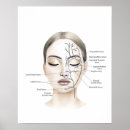 Pesquisar por facial pôsteres pósteres Para ela