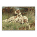 Pesquisar por inglês setter cartão cartoes postais Cães