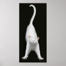 Pesquisar por gato persa branco pôsteres pósteres Gatinho