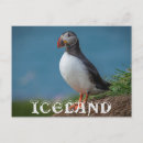 Pesquisar por iceland cartoes postais Islândia