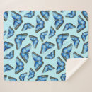 Pesquisar por morpho azul Animal