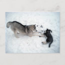 Pesquisar por cão de caça cartoes postais Neve