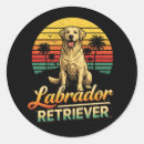 Pesquisar por labrador adesivos Retriever