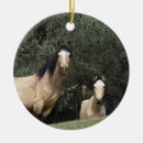 Pesquisar por cavalo mustang de natal decoração Prumo langrish