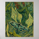 Pesquisar por rémy de provence pósteres Vincent van gogh