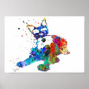 Pesquisar por miniature schnauzer pôsteres pósteres Cão