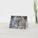 Pesquisar por lince cartoes Gatinho