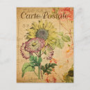 Pesquisar por sunflower cartoes postais Vintage