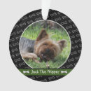 Pesquisar por yorkie bonito ornamentos Para todos