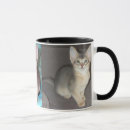 Pesquisar por abyssinian Gatinho