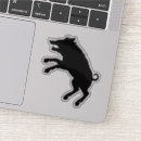 Pesquisar por javali adesivos Porco