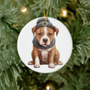 Pesquisar por american staffordshire terrier ornamentos Natal
