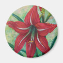 Pesquisar por vermelho sangue imas Floral