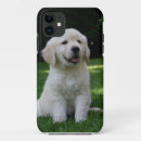 Pesquisar por filhotes cachorro capa iphone iphone capas Retriever