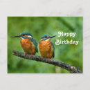 Pesquisar por punhal cartoes Vida selvagem