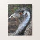 Pesquisar por pássaro flightless Austrália