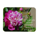 Pesquisar por pedra imas Para ela