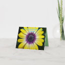 Pesquisar por admiração cartoes Para ela