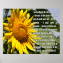 Pesquisar por salmos 62 Deus