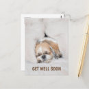 Pesquisar por get well soon cartoes postais Animar