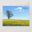 Pesquisar por canola cartoes postais Campo