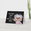 Pesquisar por wild dog Cute