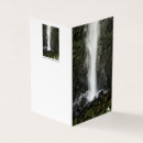 Pesquisar por baci cartoes Flores