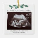 Pesquisar por feliz ornamentos Para ela