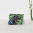 Pesquisar por rottweiler cartoes Animais de estimação