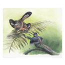 Pesquisar por pássaro pré histórico pôsteres pósteres Archaeopteryx