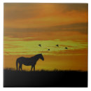 Pesquisar por cavalo azulejos Natureza
