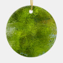 Pesquisar por insetos ornamentos Natureza