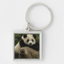 Pesquisar por gigantes chaveiros Panda