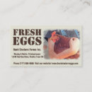 Pesquisar por galinha vermelha cartao de visita Ovos